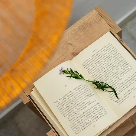 Celestial Seaview Apartments- Apollon アパート Naxos City